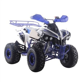APAQ Motor 125cc Quad Bike ATV