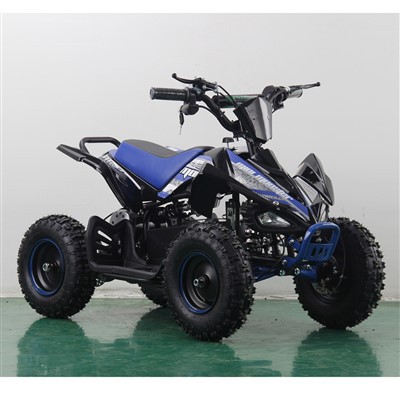 Blybatteri 36V,12AH ATV Elektrisk Quad Bike